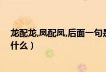 龍配龍,鳳配鳳,后面一句是什么（龍配龍鳳配鳳后面一句是什么）