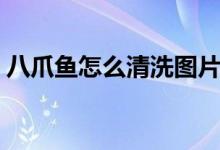 八爪魚怎么清洗圖片（八爪魚怎么清洗內(nèi)臟）