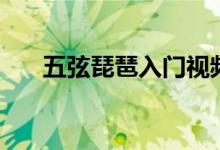 五弦琵琶入門視頻（五弦琵琶幾根弦）