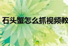 石頭蟹怎么抓視頻教程（石頭蟹怎么做好吃）