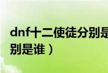 dnf十二使徒分別是誰（DNF中的十大使徒分別是誰）