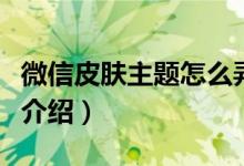 微信皮膚主題怎么弄（微信皮膚主題設(shè)置方法介紹）