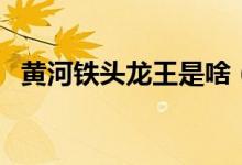 黃河鐵頭龍王是啥（黃河鐵頭龍王是什么）