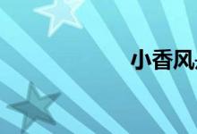 小香風(fēng)是什么風(fēng)格