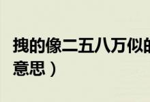 拽的像二五八萬似的（拽的二五八萬似的什么意思）