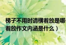 梯子不用時請橫著放是哪一年的高考作文（梯子不用時請橫著放作文內(nèi)涵是什么）