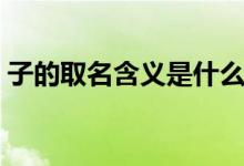 子的取名含義是什么（子的取名含義是什么）