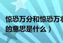 驚恐萬(wàn)分和驚恐萬(wàn)狀的意思（驚恐萬(wàn)狀的意思的意思是什么）