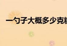 一勺子大概多少克糖（一湯勺糖是多少克）