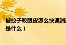 被蚊子咬眼皮怎么快速消腫（眼皮被蚊子咬最快消腫的方法是什么）