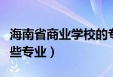 海南省商業(yè)學校的專業(yè)（海南省商業(yè)學校有哪些專業(yè)）