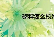 磅秤怎么校準(zhǔn)（磅秤是什么）