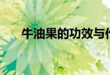 牛油果的功效與作用（牛油果是什么）