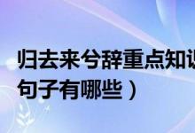 歸去來兮辭重點知識（歸去來兮辭當中的重點句子有哪些）