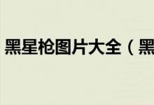 黑星槍圖片大全（黑星是一把什么類型的槍）