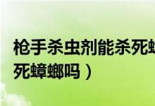 槍手殺蟲劑能殺死蟑螂嗎（槍手殺蟲劑可以殺死蟑螂嗎）
