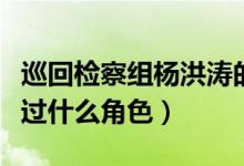 巡回檢察組楊洪濤的扮演者是誰（白紅標(biāo)還演過什么角色）