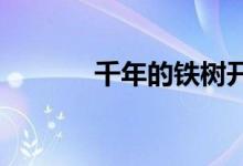 千年的鐵樹開了花打一歇后語