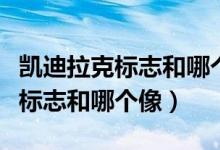 凱迪拉克標(biāo)志和哪個車標(biāo)志差不多（凱迪拉克標(biāo)志和哪個像）