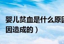 嬰兒貧血是什么原因引起（嬰兒貧血是什么原因造成的）