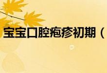 寶寶口腔皰疹初期（寶寶口腔皰疹初期癥狀）