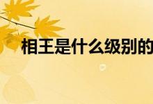 相王是什么級別的王（相王是什么意思）