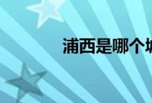 浦西是哪個(gè)城市（浦西是啥）