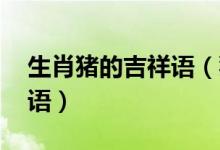 生肖豬的吉祥語（豬的吉祥語 關于豬的吉祥語）