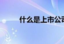 什么是上市公司（上市公司簡(jiǎn)介）
