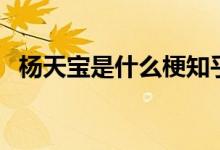楊天寶是什么梗知乎（楊天寶是什么意思）