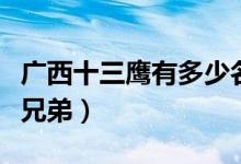 廣西十三鷹有多少名戰(zhàn)將（廣西十三鷹有多少兄弟）