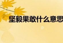 堅(jiān)毅果敢什么意思（堅(jiān)毅果敢是啥意思）