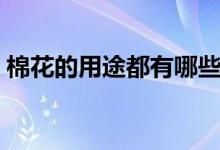 棉花的用途都有哪些（棉花的用途都有哪些）