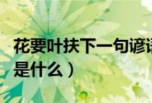 花要葉扶下一句諺語是什么（花要葉扶下一句是什么）