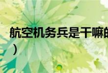 航空機(jī)務(wù)兵是干嘛的（航空機(jī)務(wù)兵是干什么的）