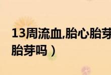 13周流血,胎心胎芽正常（懷孕13周才見胎心胎芽嗎）