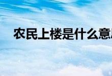 農(nóng)民上樓是什么意思（nmsl是什么意思）