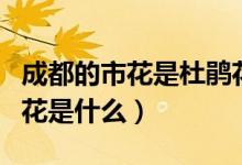 成都的市花是杜鵑花芙蓉花玉蘭花（成都的市花是什么）