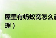 屋里有螞蟻窩怎么消滅（屋里有螞蟻窩怎么處理）