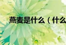 燕麥?zhǔn)鞘裁矗ㄊ裁唇醒帑溠帑滈L(zhǎng)什么樣）