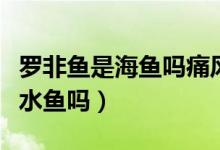 羅非魚(yú)是海魚(yú)嗎痛風(fēng)病人能吃嗎（羅非魚(yú)是海水魚(yú)嗎）