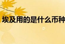 埃及用的是什么幣種（埃及用的是什么貨幣）