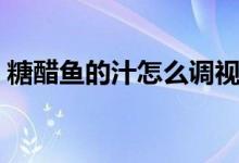 糖醋魚的汁怎么調(diào)視頻（糖醋魚的汁怎么調(diào)）