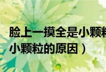 臉上一摸全是小顆粒卻看不見（臉上一摸全是小顆粒的原因）