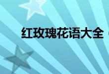 紅玫瑰花語大全（紅玫瑰花語是什么）