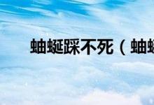 蚰蜒踩不死（蚰蜒已經(jīng)踩死了怎么辦）