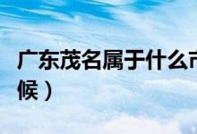 廣東茂名屬于什么市區(qū)（廣東茂名屬于什么氣候）