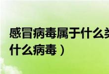 感冒病毒屬于什么類型（流行性感冒病毒屬于什么病毒）