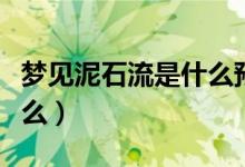 夢(mèng)見(jiàn)泥石流是什么預(yù)兆（夢(mèng)見(jiàn)泥石流意思是什么）