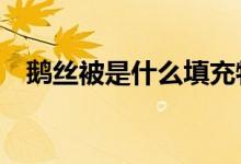 鵝絲被是什么填充物（e生保是什么保險(xiǎn)）